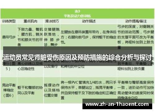 运动员常见肾脏受伤原因及预防措施的综合分析与探讨